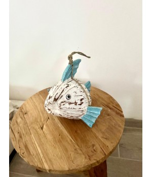COCO FISH